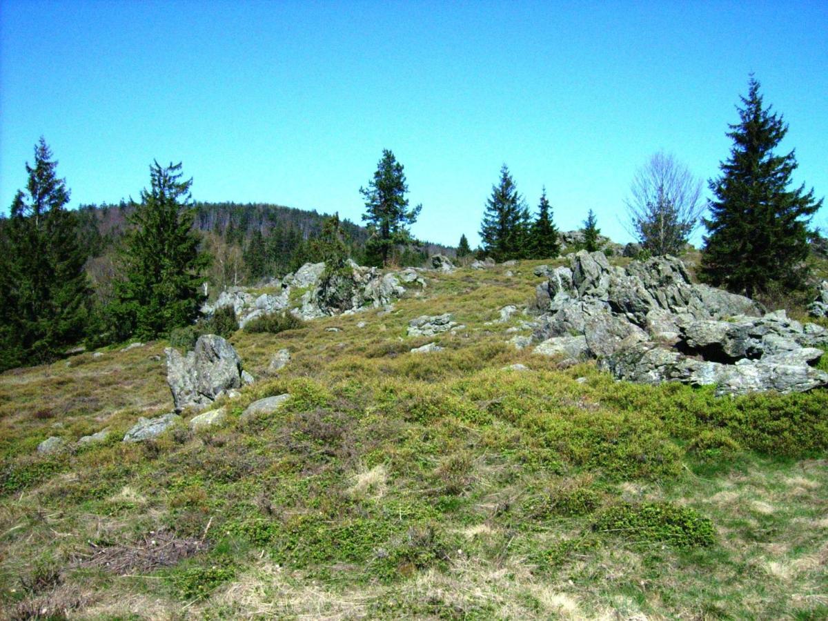 Holiday Home Near The Ski Slope Stadlern Exteriör bild